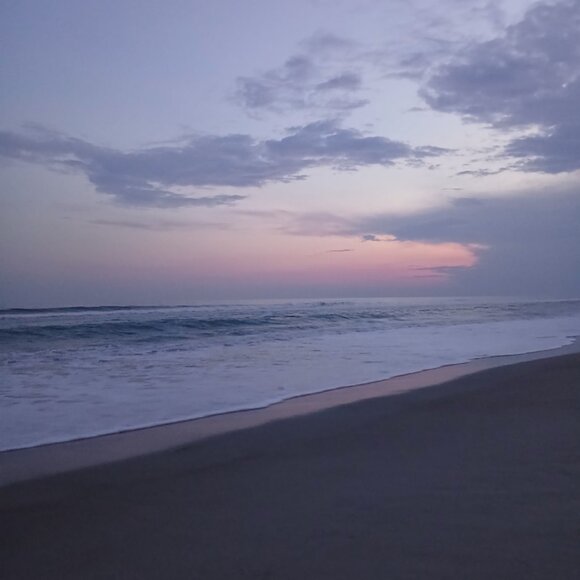 Meet your Posher, Avellis - Picture 4 of 12